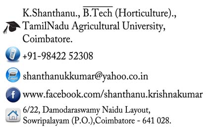 Business Card | Every Media Works | Shanthanu K